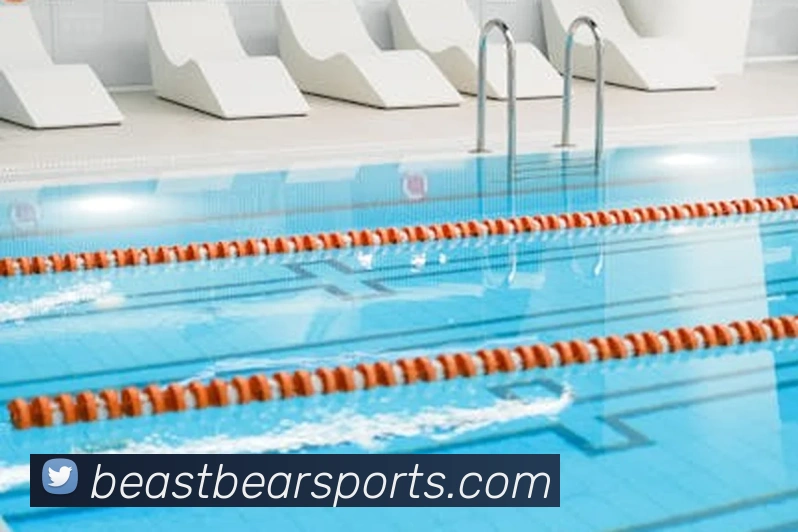 体育下注服务体系